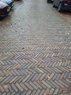 Plfastereine Antik Klinker Waaltjes Den Haag kaufen? Bei HollandPflaster.de